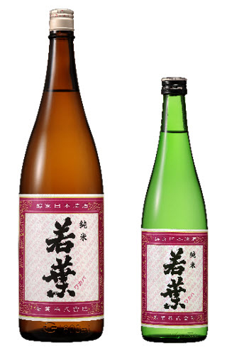 若葉 純米